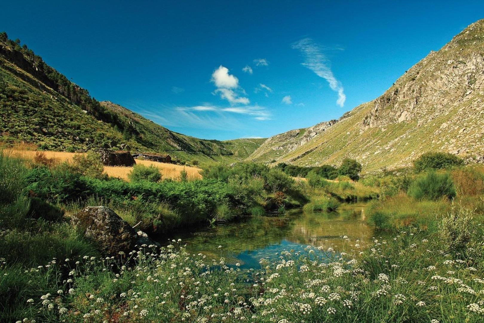Quinta Da Estrela Villa Ponte Nova Exteriör bild